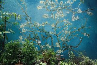 弱水咖啡国际青旅 Only Cafe and Backpacker - Chongqing - 9