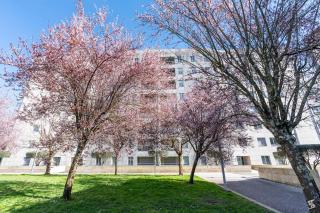 Cedofeita Sunny Apartment - Balcony & Parking - Porto - 0
