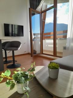 lux apartament К602 - Bansko - 5