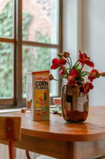 Huswell - Retro apartment with a cozy city garden - Gand - 4