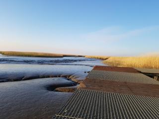 Bed & Breakfast Rheiderland - 7