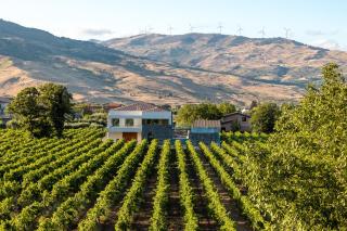 Camporè Etna Wines and Resort - Randazzo - 8