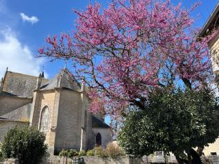 Gîte Ke'R Maé - Le Quiou - 5