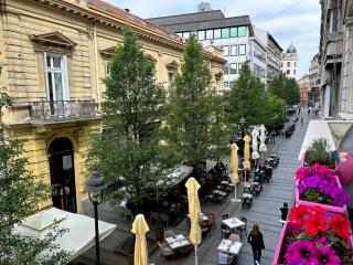 Princ Apartment - Belgrad - 0