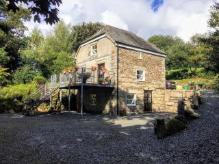 Cottage hideaway on the edge of Bodmin Moor - Launceston - 9