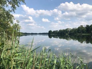 Ruhiger Rückzugsort mit Kamin & Garten, für Paare - Häven - 5
