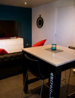 Studio Cosy, jardin privatif - Genilac - 3