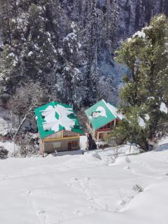 The Forest Pinnacle and Café, Jibhi - 2