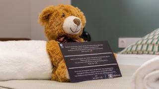 Osito Hub - Pintor Nicolau - 8