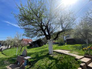 Apartman Medi - 6