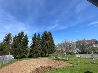 Apartman Medi - Pale - 4