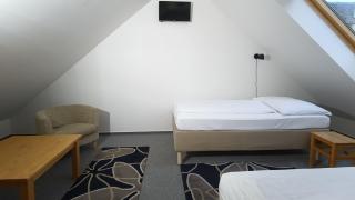 Guest House Prague Airport - Prague - 1