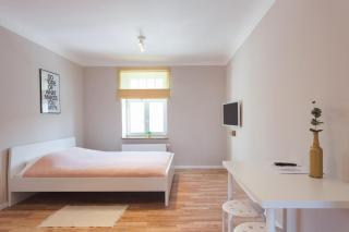 Stylish authentic studio - Riga - 8