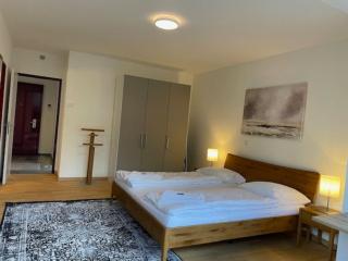 Amazing 2 bedroom flat: specious and central (Duke2) - Zurigo - 9