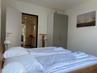 Amazing 2 bedroom flat: specious and central (Duke2) - Zurigo - 7