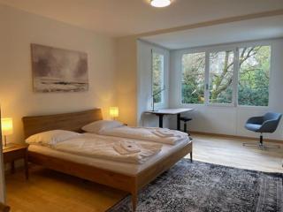 Amazing 2 bedroom flat: specious and central (Duke2) - Zurigo - 3