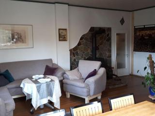 Winegrower's apartment holiday residence - 8