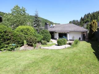 Holiday home Eifel with pool - Wimbach - 9