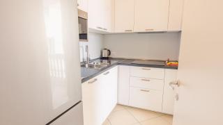 Galleria Il Principe - Italian Homing - 6