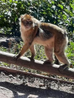 LE CHANT DE LA RIVIERE - 5