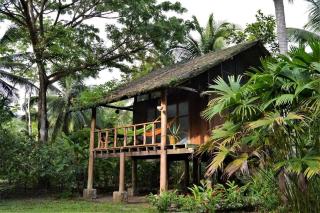 Jardín Botánico del Pacífico y Mecana Ecohotel - Bahía Solano - 3