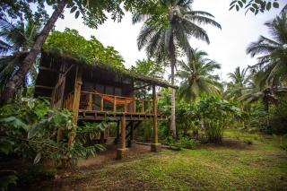 Jardín Botánico del Pacífico y Mecana Ecohotel - Bahía Solano - 9
