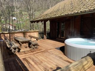 LE RENNE Chalet en bois au calme avec SPA Jacuzzi - La Bresse - 7