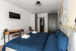 Beta Studio lângă Iulius Mall - Cluj-Napoca - 4