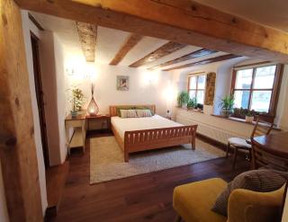 Charmantes Zimmer mit Bad im Stadtzentrum - Pottenstein - 9
