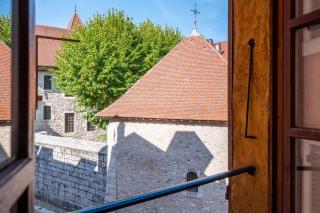 Hôtel du Palais de l'Isle - Annecy - 7