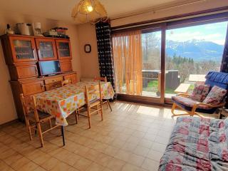 Appartement cosy 5 pers, terrasse sud, parking, proche station, animaux acceptés - FR-1-393-127 - Saint-Michel-de-Chaillol - 0