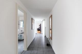 Nice and big 1 bedroom flat city center/near lake (Dahlia8) - 8