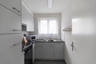 Nice and big 1 bedroom flat city center/near lake (Dahlia8) - Zurich - 1