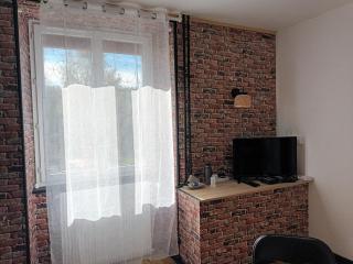 superbe appartement T2 proche de vulcania - Pontaumur - 4