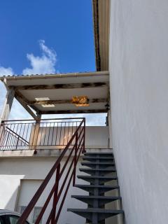 Joli appartement - 7