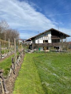 Apartment Am Weinberg - Rimsting - 8