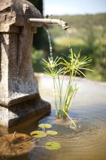 Chez Bruno - Lorgues - 9