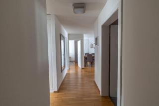 Executive 2 bedroom flat / city center (Hösch 5) - Zurigo - 1
