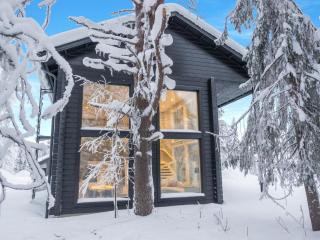 Holiday Home Levin hiihtäjä by Interhome - Levi - 0