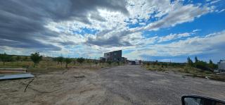 Les oliviers - Puerto Madryn - 1