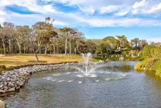 Private Beach Oasis with Free Full Body Massages! - Myrtle Beach - 6