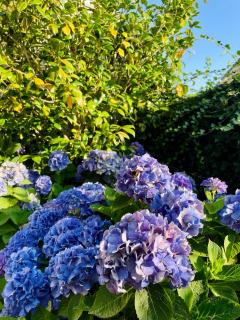 KerDesAmis - Tolles Ferienhaus in Strandnähe mit Sonnenterrasse, Boulebahn und großem Garten - 5