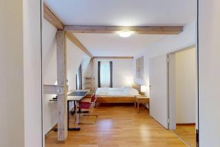 Penthouse flat in the city center/near lake (SF18) - Zurigo - 9