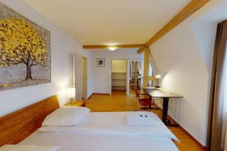 Penthouse flat in the city center/near lake (SF18) - Zurigo - 3