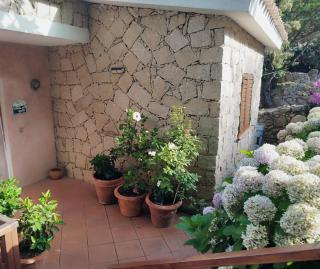 Casa Alma1 - Baja Sardinia - 8