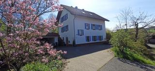 BR-Ferienwohnung Brombachtal - Langen-Brombach - 9