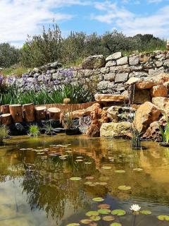 Tipizen - Trans-en-Provence - 7