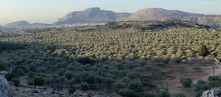 Casa Napais Luxury Private Villa - Archangelos (Arcangelo) - 9