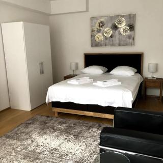 Nice 1BR flat - city center with balcony - West3 - Zurigo - 7
