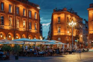 *Grand T3*Lumineux*Vue*Parking* - Toulouse - 7